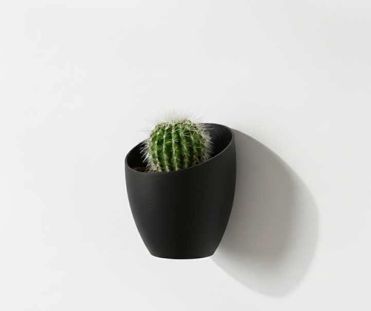 "Moon" Wall Planter – Floating Minimalism in 3D