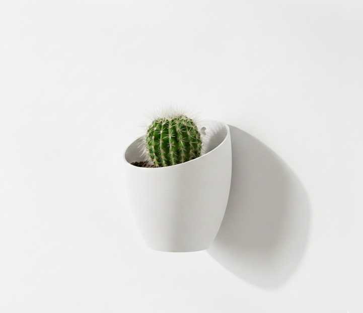 "Moon" Wall Planter – Floating Minimalism in 3D